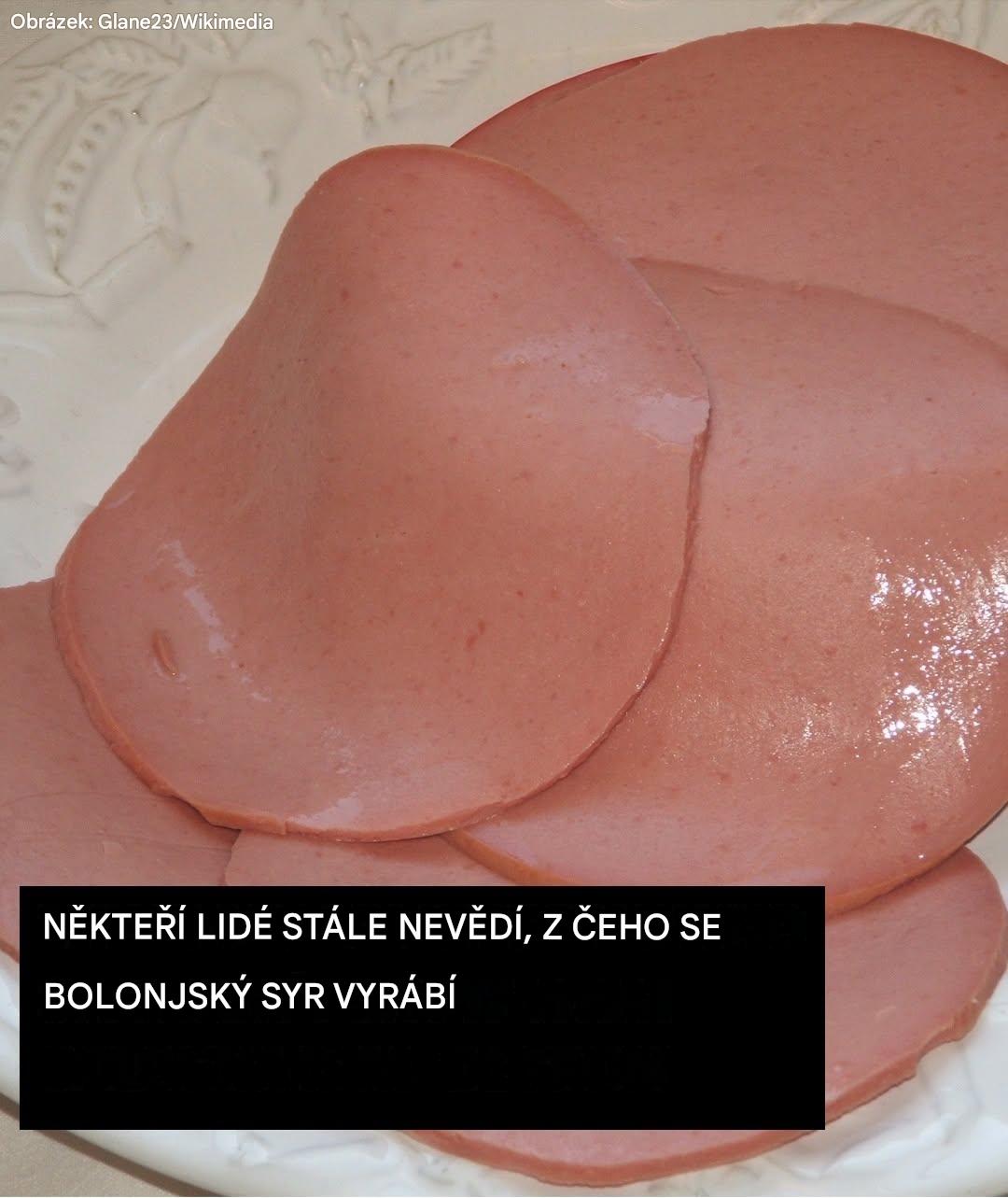 Z čeho se vyrábí Bologna?