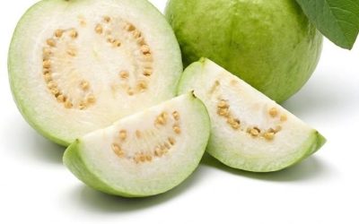 Lékaři odhalují, že čaj z listů guavy má neočekávané účinky na zdraví, a odhalují překvapivé výhody a možná rizika spojená s trávením, rovnováhou hladiny cukru v krvi, regulací hmotnosti, zlepšením pleti a podporou imunity. Odborníci vysvětlují, jak tento přírodní lék může při pravidelné konzumaci v průběhu času ovlivňovat tělo způsoby, které mnoho lidí přehlíží nebo nechápe.