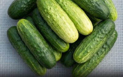 Lékaři odhalují, že konzumace okurek v salátech způsobuje…