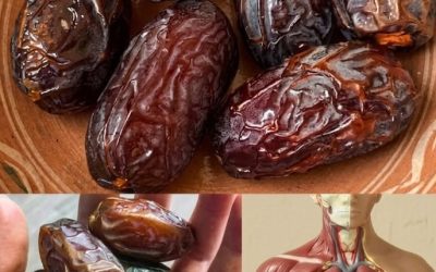 Nejzdravější ovoce na Zemi: Co se stane s vaším tělem, když jíte jen 3 denně. Zkoumá, jak může pravidelná konzumace ovoce podpořit trávení, hladinu energie, hydrataci, imunitní funkce a zdraví srdce. Odborníci vysvětlují, že přínosy závisí na celkové vyváženosti stravy, životním stylu a individuálních potřebách. Ukazuje, proč žádné ovoce samo o sobě nedefinuje dokonalé zdraví, ale při pravidelné konzumaci může přispět k lepší výživě.