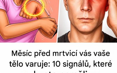 10 varovných signálů mrtvice, které je třeba odhalit měsíc předem