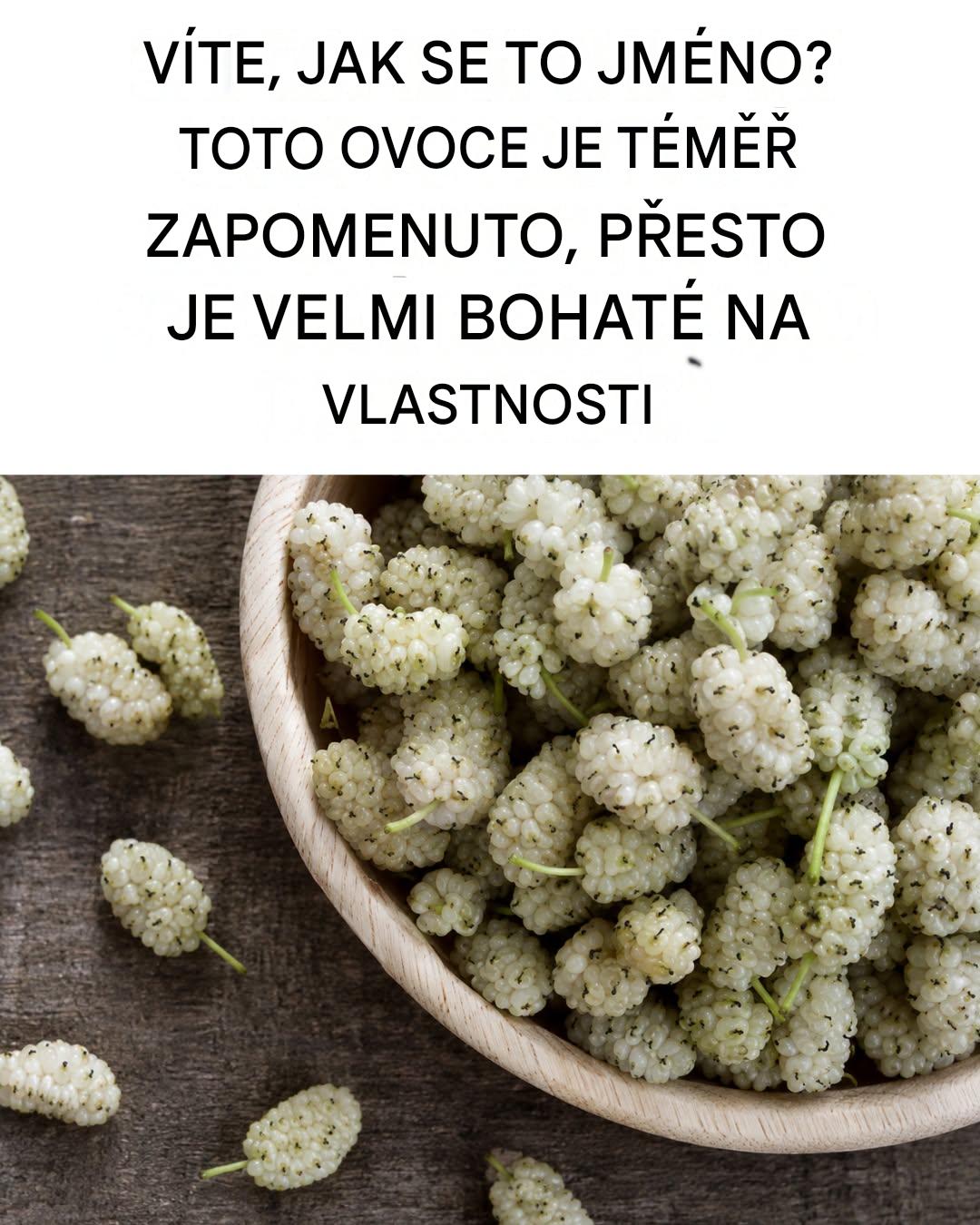 Výhody bílé moruše: zabraňuje rakovině, léčí cukrovku a pomáhá při hubnutí