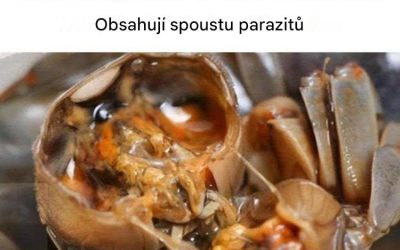 Šíří se online zpráva „Lékaři varují: Okamžitě omezte konzumaci těchto 4 potravin, obsahují spoustu parazitů“?