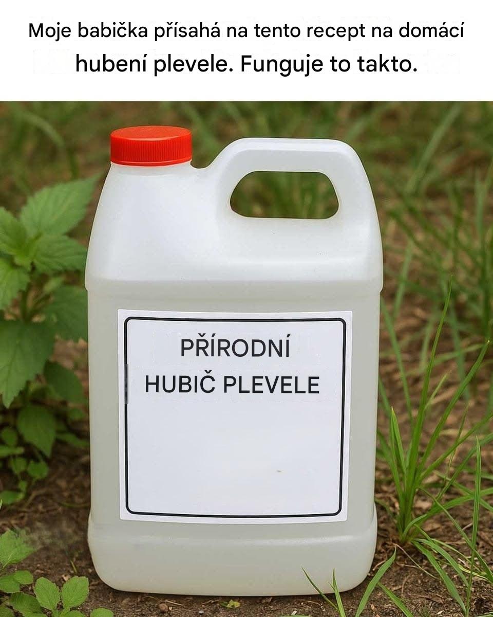 Moje babička přísahá na tento recept na herbicid, který si můžete sami vyrobit. Zde je návod, jak to funguje.
