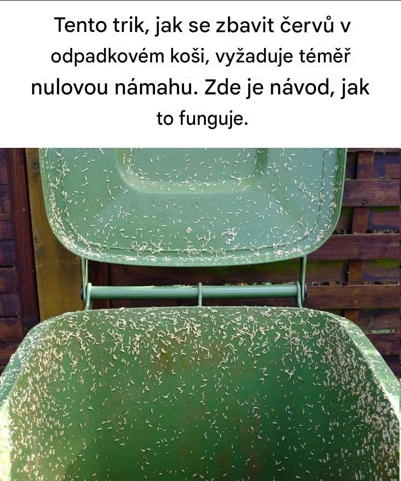 Červi ve vašem odpadkovém koši? Zde je návod, jak je zastavit, než se vás zmocní