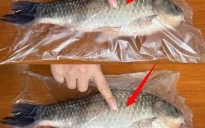 Nesnáším čištění rybích šupin… Tento jednoduchý trik s plastovým sáčkem vám umožní odvápňovat prakticky bez nepořádku. Zadejte komentář.