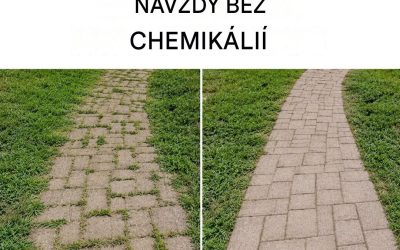 Jak se zbavit plevele přirozeně a navždy
