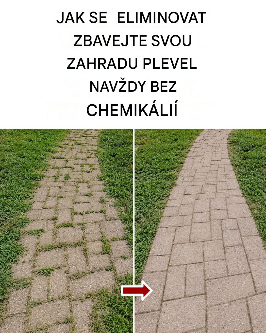 Jak se zbavit plevele přirozeně a navždy