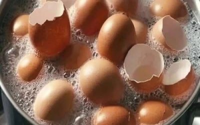 Už je nevyhazujte. Uvařte vaječné skořápky a rozlučte se s…….