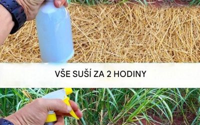 Jednoduchý a cenově dostupný způsob, jak se vypořádat s plevelem na zahradě