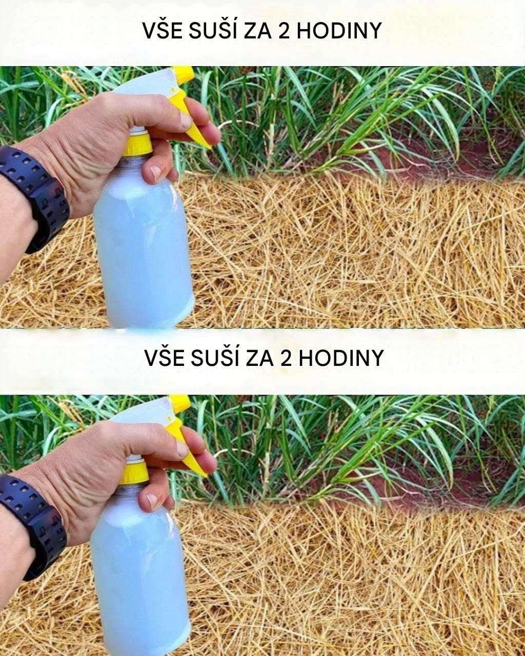 Jednoduchý a cenově dostupný způsob, jak se vypořádat s plevelem na zahradě