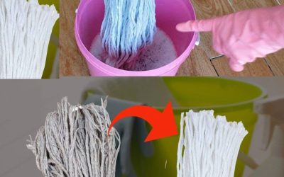 Velmi špinavý mop, už ho nekupujte: kapka této ingredience a bude zase nový.