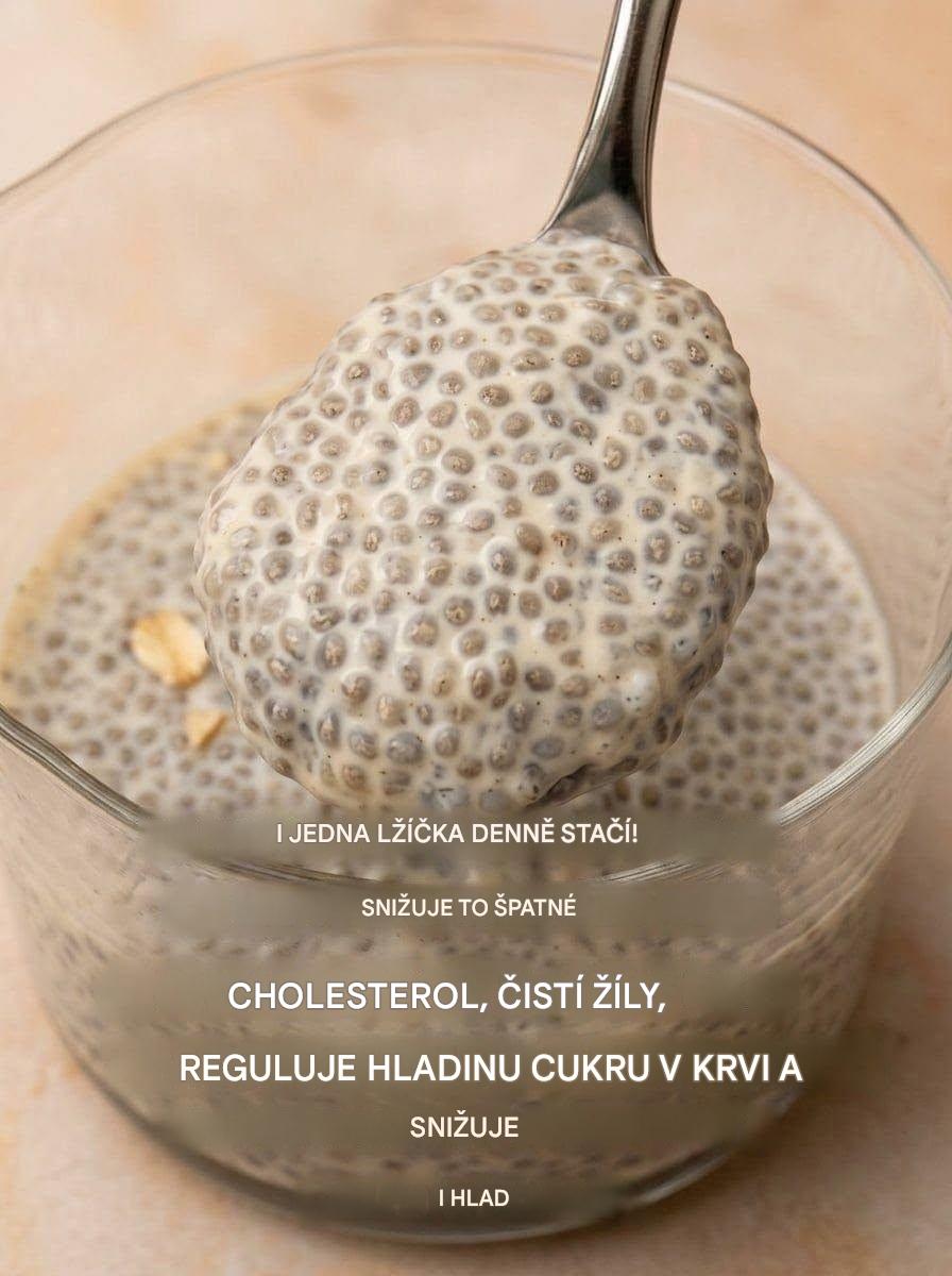 Vanilkový pudink s chia semínky