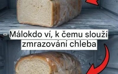 Mražení chleba může zachovat čerstvost, ale nesprávné skladování způsobuje vysušení. Používejte vzduchotěsné balení, dvojitou ochranu a správné metody rozmrazování, aby chléb zůstal měkký, chutný a připravený k vychutnání bez plýtvání.