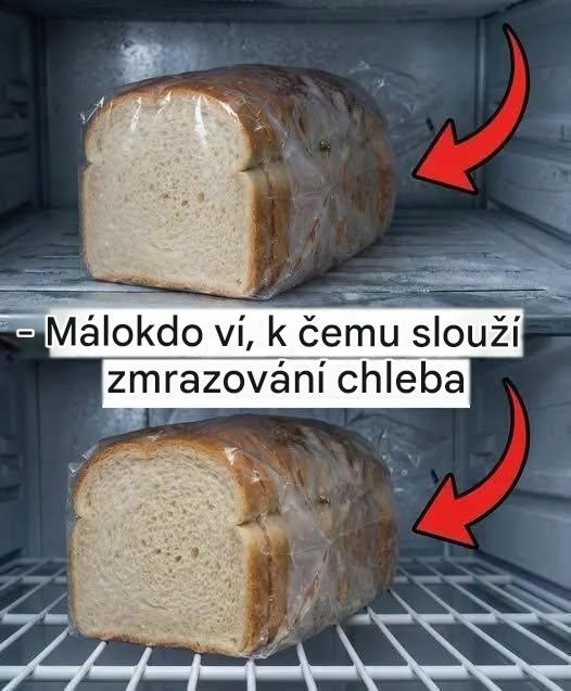 Mražení chleba může zachovat čerstvost, ale nesprávné skladování způsobuje vysušení. Používejte vzduchotěsné balení, dvojitou ochranu a správné metody rozmrazování, aby chléb zůstal měkký, chutný a připravený k vychutnání bez plýtvání.