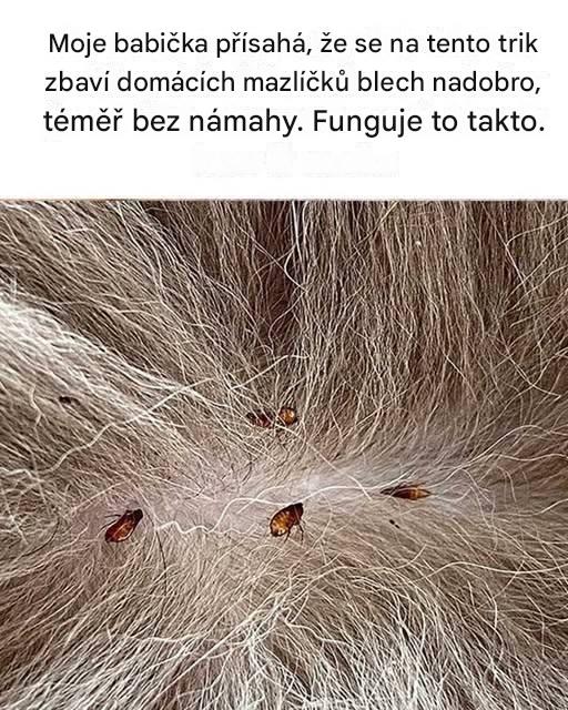 Kéž bych se to naučil už před lety