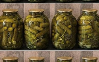 Nesterilizuji sklenice, nevařím víčka: Takto každý rok skladujeme okurky na zimu – Ověřený rodinný recept