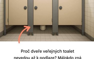 🥞Palačinky se sýrem a šunkou: snadný, rychlý a lahodný recept