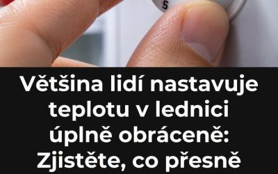 Většina lidí nastavuje teplotu v lednici úplně obráceně: Zjistěte, co přesně znamenají čísla na knoflíku, než si zničíte jídlo!