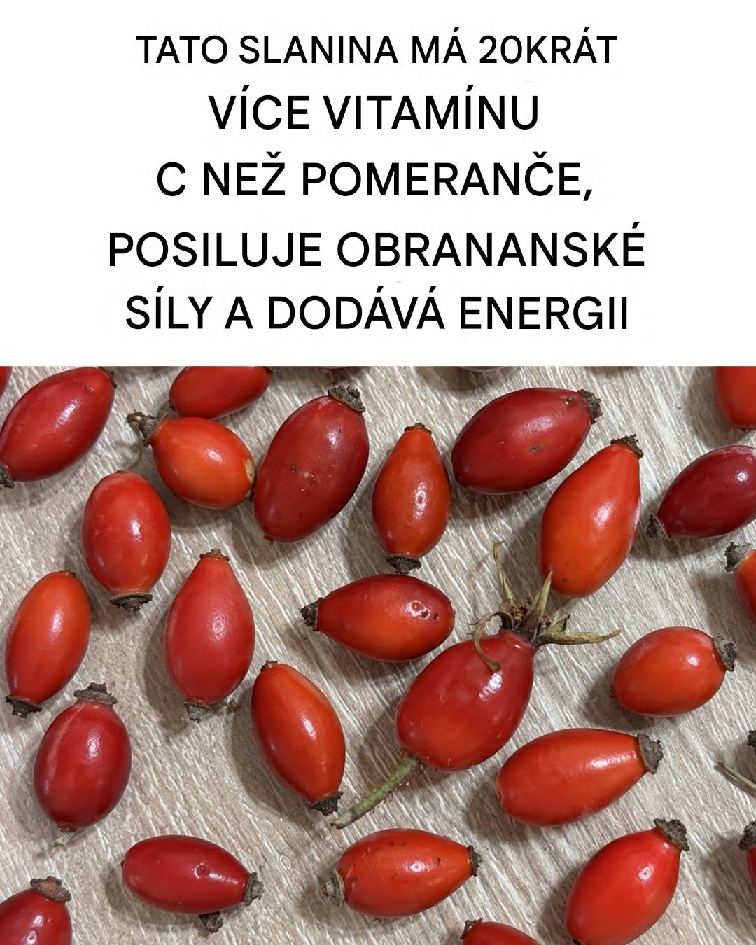 Všechny mimořádné vlastnosti a výhody plodu šípku