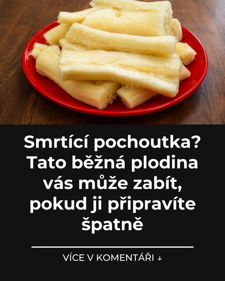 Smrtící pochoutka? Tato běžná plodina vás může zabít, pokud ji připravíte špatně