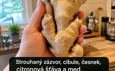 Strouhaný zázvor, cibule, česnek, citronová šťáva a med. Jedna čajová lžička denně od 7. dne