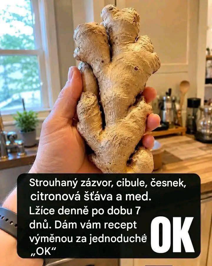 Strouhaný zázvor, cibule, česnek, citronová šťáva a med. Jedna čajová lžička denně od 7. dne