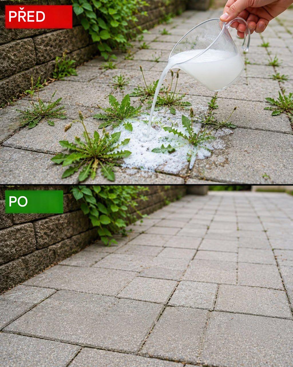 Přírodní a účinná domácí ochrana proti plevelu