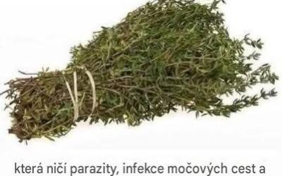 Tato účinná kuchyňská bylina může pomoci přirozeně bojovat s parazity, infekcemi a sezónními nemocemi
