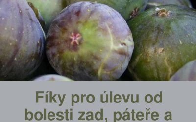 Fíky pro úlevu od bolesti zad, páteře a kolen