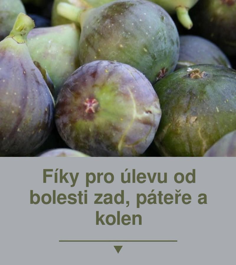 Fíky pro úlevu od bolesti zad, páteře a kolen