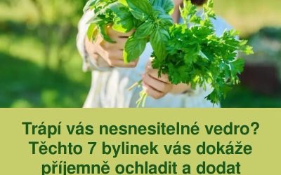 Trápí vás nesnesitelné vedro? Těchto 7 bylinek vás dokáže příjemně ochladit a dodat energii i v největších tropických dnech