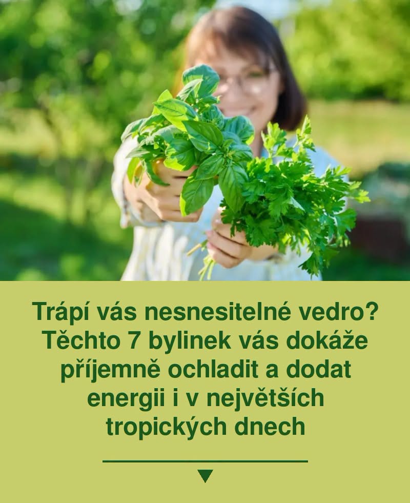 Trápí vás nesnesitelné vedro? Těchto 7 bylinek vás dokáže příjemně ochladit a dodat energii i v největších tropických dnech