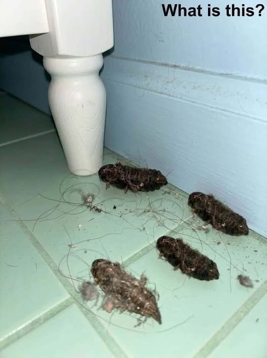 Dnes večer jsem přišel domů unavený a chtěl jsem se jen vyspat a trochu si odpočinout.