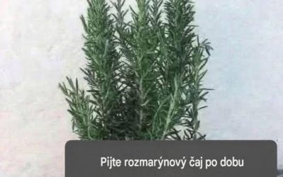 Říká se mu přírodní morfin, protože zmírňuje bolesti svalů, kloubů a revmatické bolesti. Pokud chcete i nadále dostávat mé recepty, jednoduše řekněte… Děkuji!