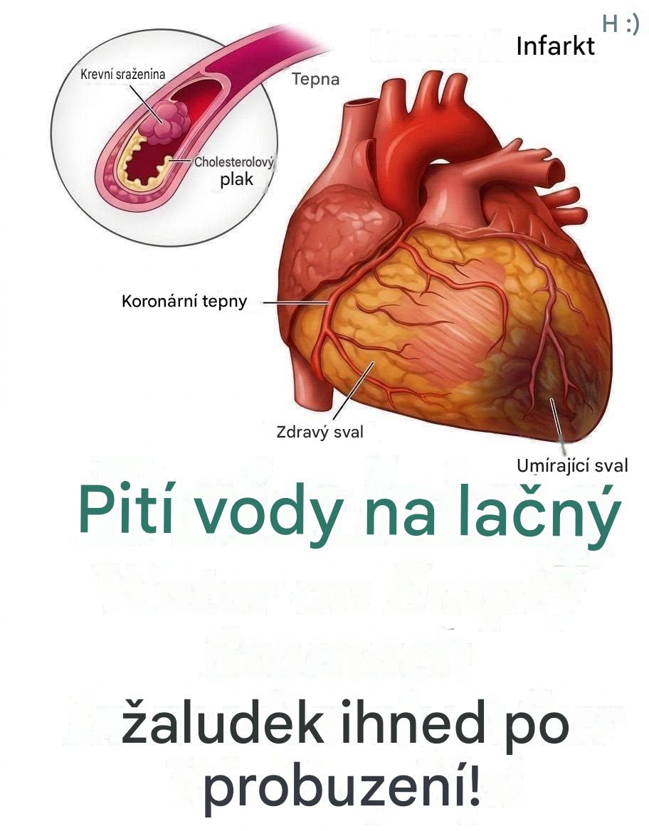 Věděli jste, že pití vody na lačný žaludek může být…