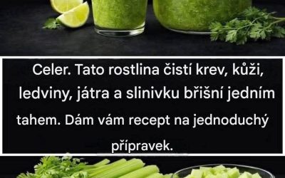 Tato rostlina čistí krev, kůži, ledviny, játra a slinivku břišní jedním tahem. Ale udělejte to takto… Chcete-li i nadále dostávat mé recepty, stačí říct