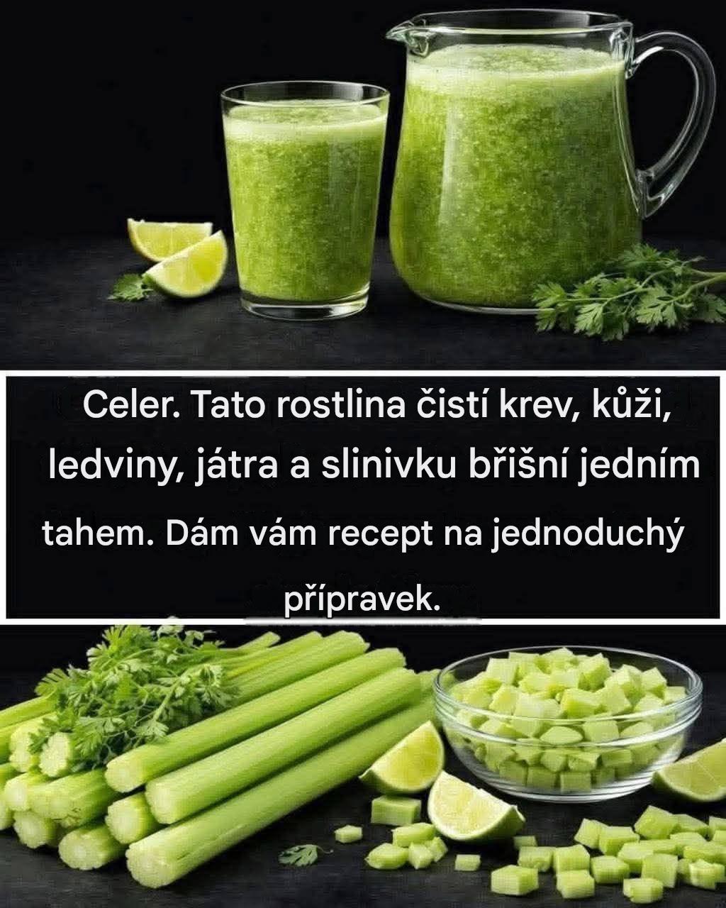 Tato rostlina čistí krev, kůži, ledviny, játra a slinivku břišní jedním tahem. Ale udělejte to takto… Chcete-li i nadále dostávat mé recepty, stačí říct