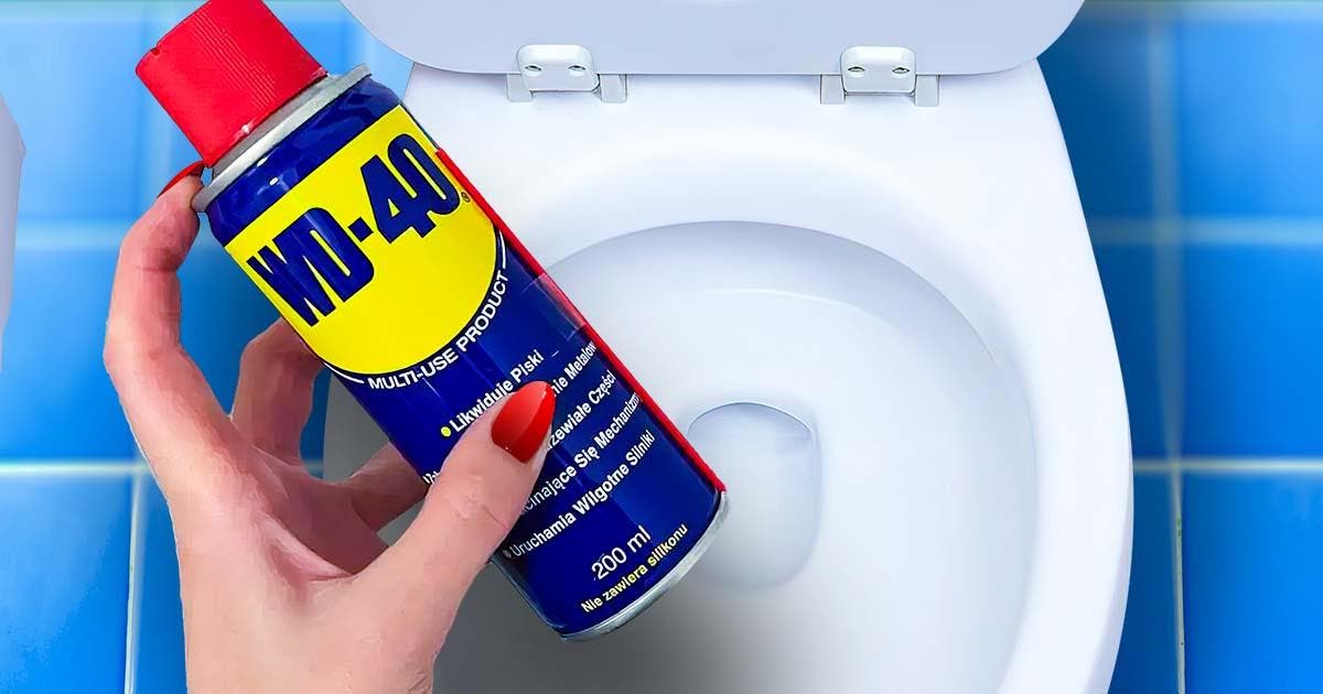 Proč zkušené ženy v domácnosti používají WD-40 na toaletě? Praktický tip, který změní život