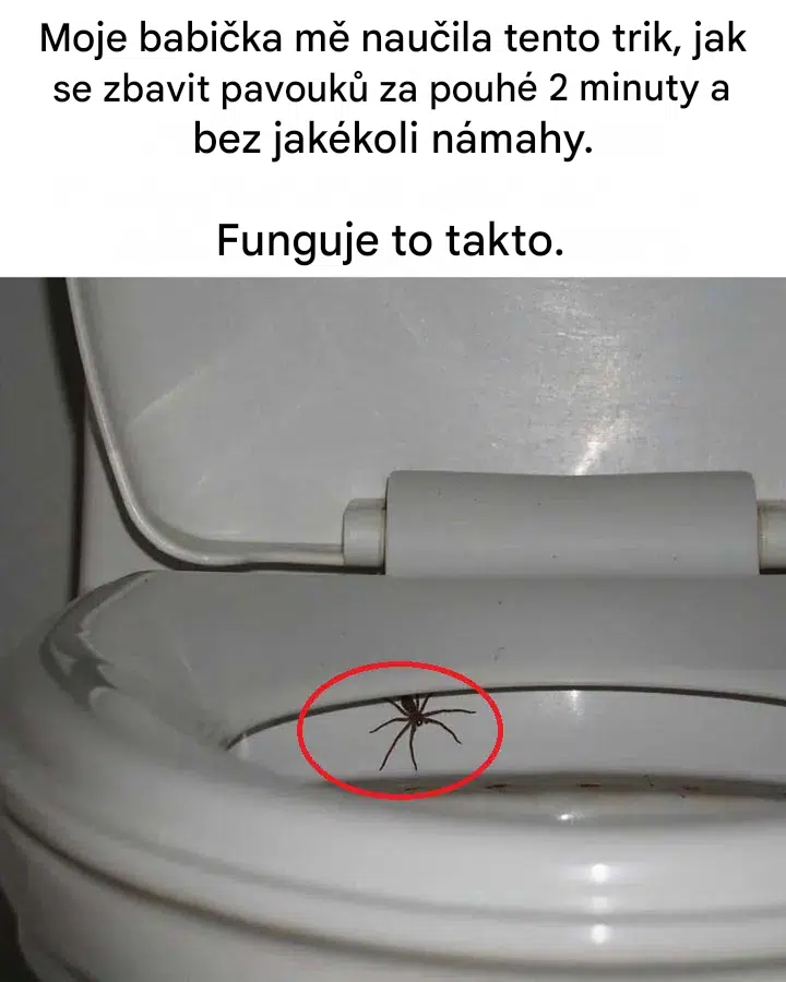 Moje babička mě naučila tenhle trik, jak se zbavit pavouků.